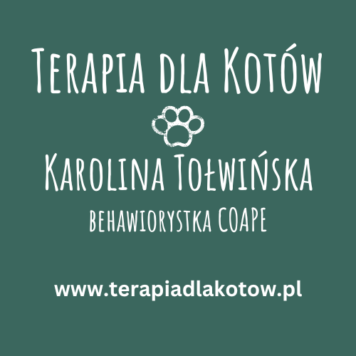 Karolina Tołwińska - Terapia dla kotów